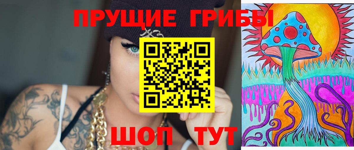 Тулун  цена   Псилоцибиновые грибы мицелий  Вход с VPN  Псилоцибиновые грибы прущие грибы 
